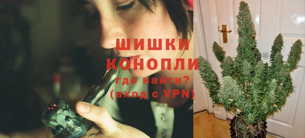 дживик Нефтегорск